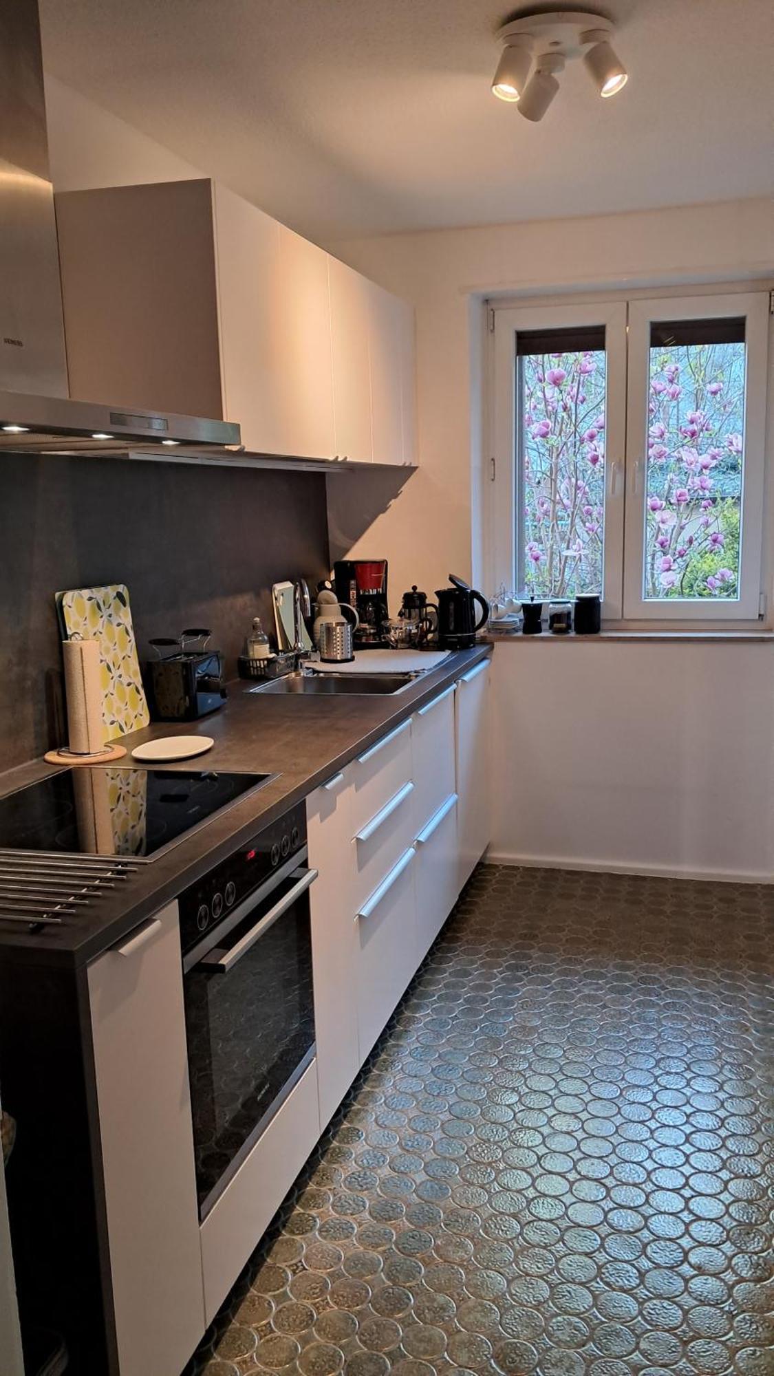 Wohnung Medicus, 3 Zkb, Balkon, Garten, Naehe Stadtpark, Ruhig Kaiserslautern Esterno foto